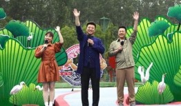 葫芦岛补课爆料视频最新,揭秘教育乱象背后的真相